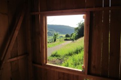 14.06.2017-Blick-aus-der-Huette-durchs-Fenster