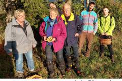 01_beim-Pilze-suchen_01