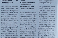 Zackenschoedchen-Seite-1