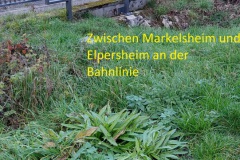 Zwischen-Markelsheim-und-Elpersheim-an-der-Bahnlinie
