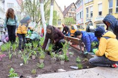 1_03_Pflanzung4