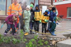 1_05_Pflanzung6