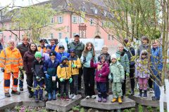 1_11_Pflanzung2